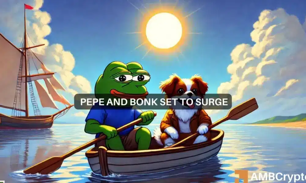 BONK coin, PEPE surge 10% after Transak listing – Will the rallies hold?