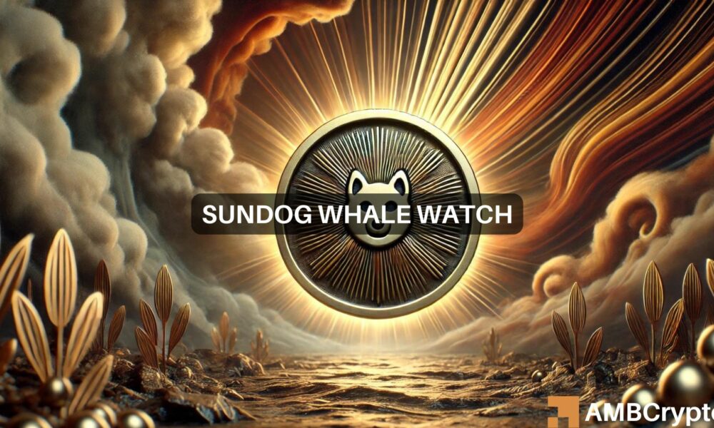 SUNDOG sees big players bet $2.5M: What’s Next?