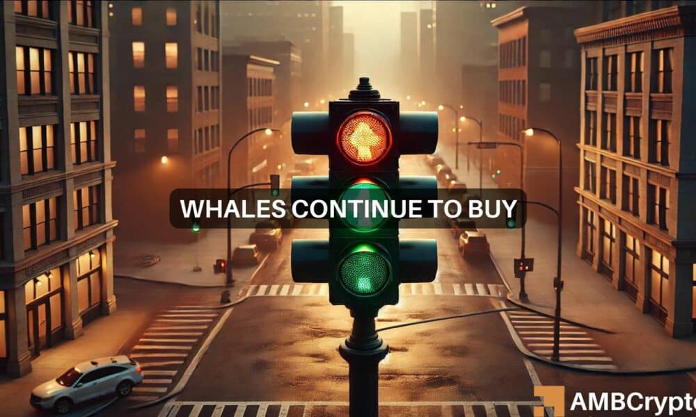 Bitcoin whale buys $31M BTC as prices crash – Is a reversal incoming?