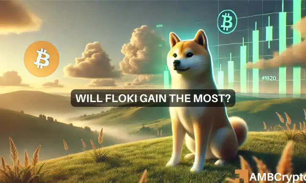 Bullish signals set FLOKI on the path to a major rally