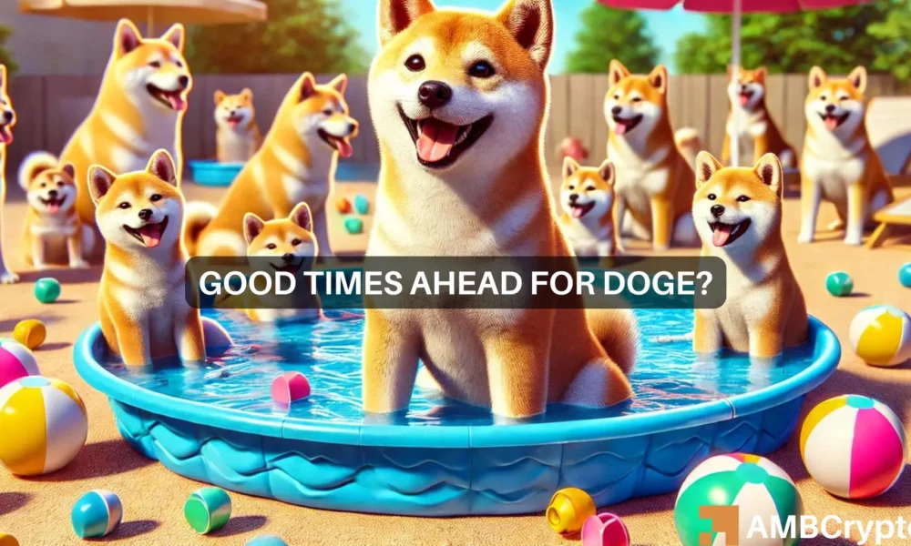 Dogecoin’s latest ‘hike’ – Identifying the odds of a real price rally next