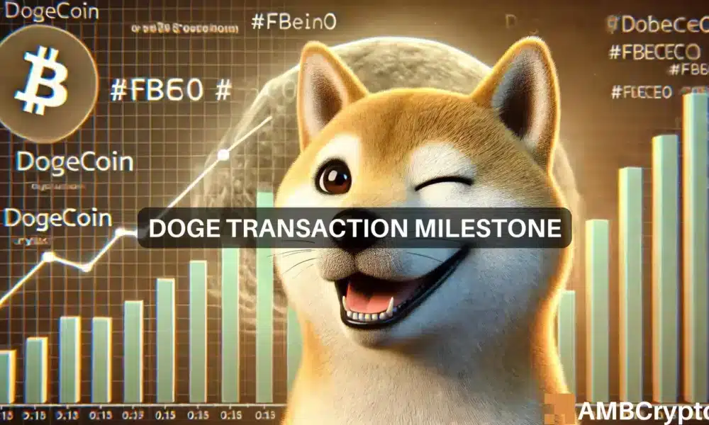 Dogecoin transactions cross new high since July: What about DOGE?