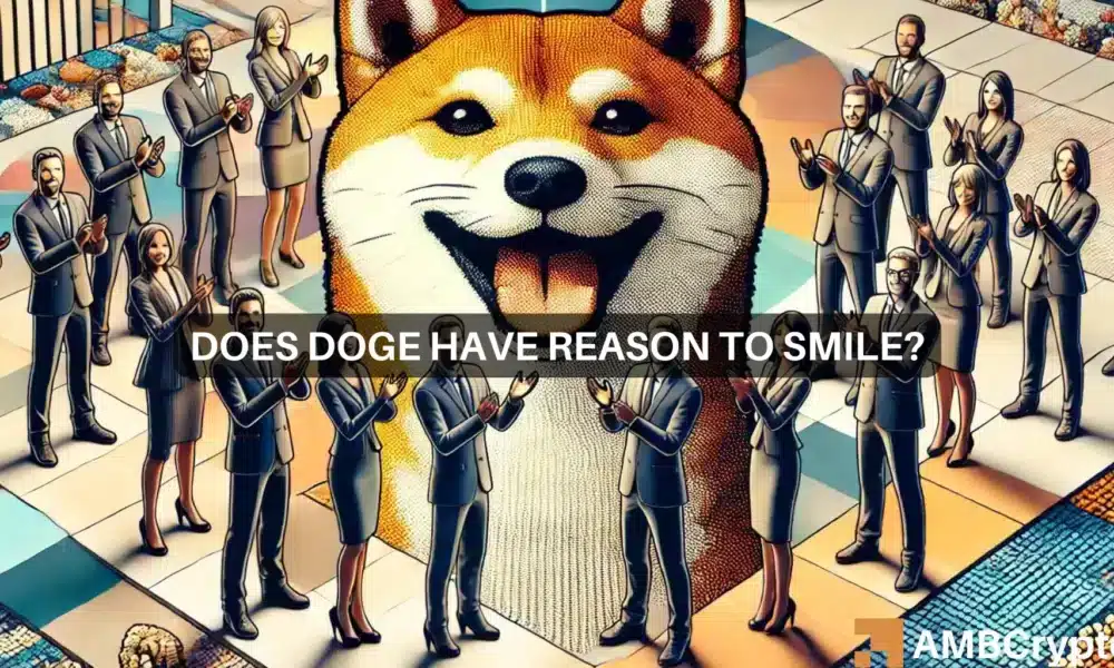 Dogecoin’s next rally – DOGE whales will have their say and that means…