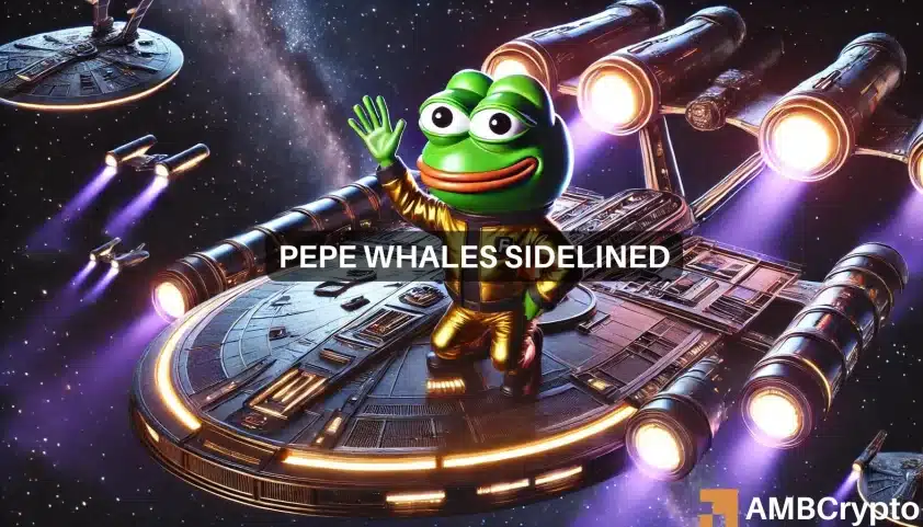 Examining the lack of a Pepe trend- what are the conditions to be met for the next move?