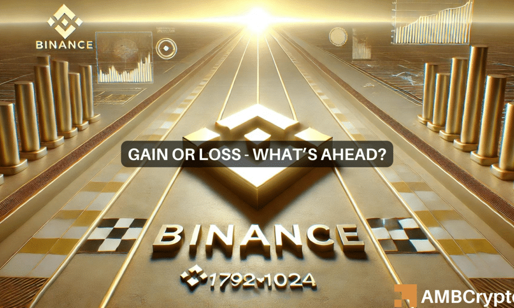 Binance Coin sees a decline, but will THIS save BNB?