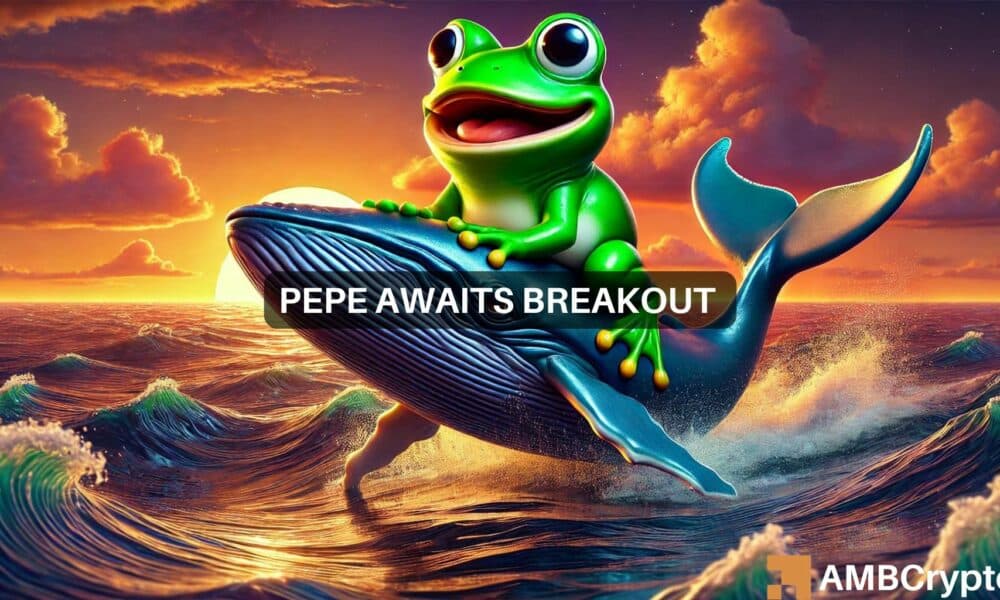 PEPE whale shifts 4B tokens: A signal for an upcoming rally?