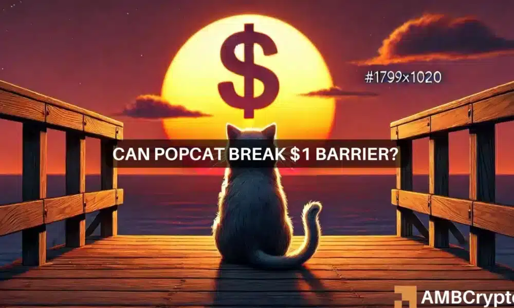 POPCAT eyes $1, but it’s next move depends on Bitcoin – Why?