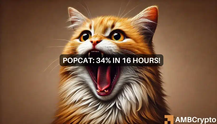 POPCAT surges close to 35% in a day, but worrying signs emerge