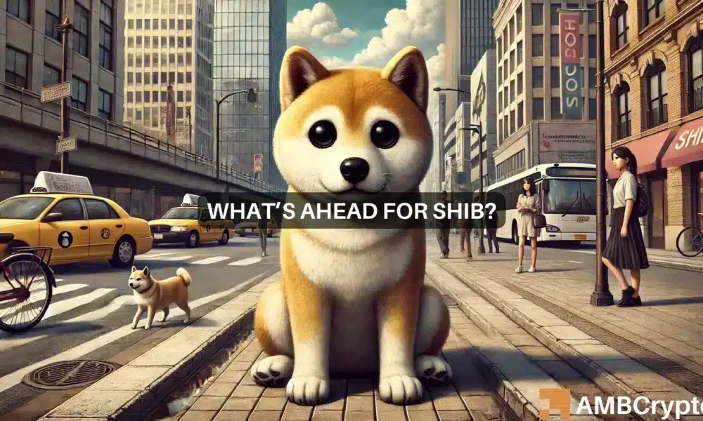 Shiba Inu encounters key resistance zone: Assessing next steps