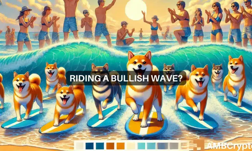 Shiba Inu – Assessing whether SHIB’s price really has 480% upside potential