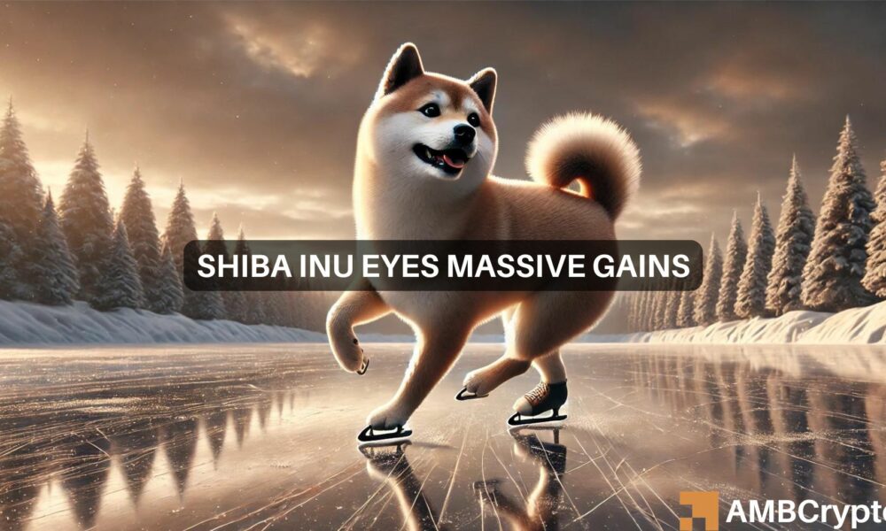 Shiba Inu eyes 75-days-range breakout: Is 110% gain possible now?