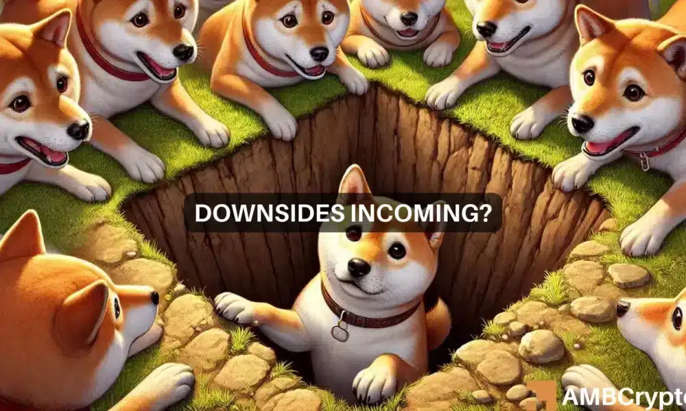 Shiba Inu price prediction – SHIB to reverse its 2024 gains now?