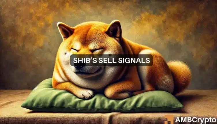 Short-Term Selling Pressure Looms Over Shiba Inu After Recent Gains