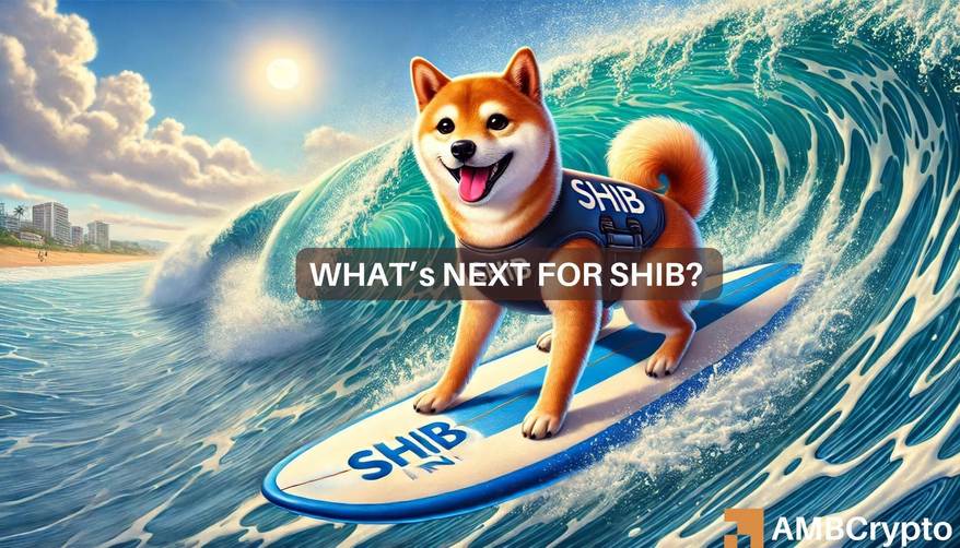 Mapping Shiba Inu