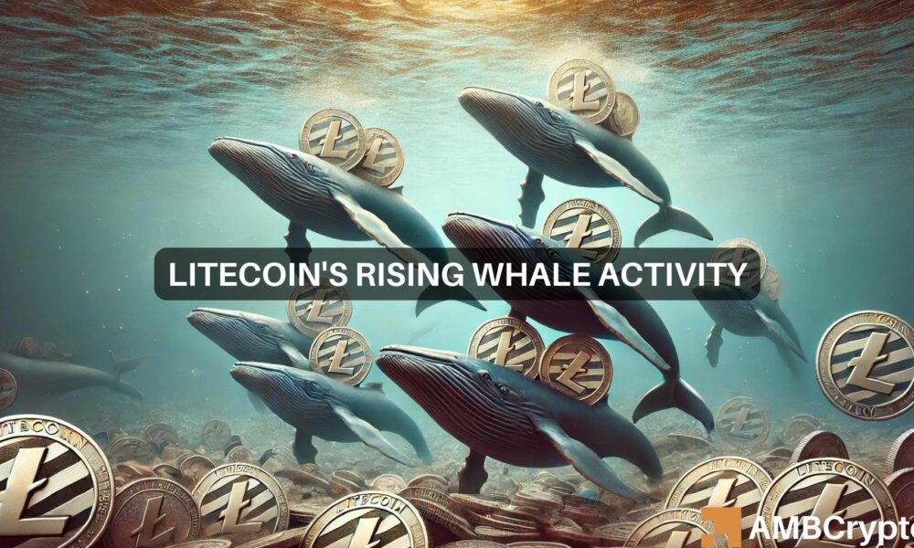 Litecoin: Can whale activity and network fundamentals propel LTC to $88?