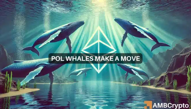 Polygon whales make a move