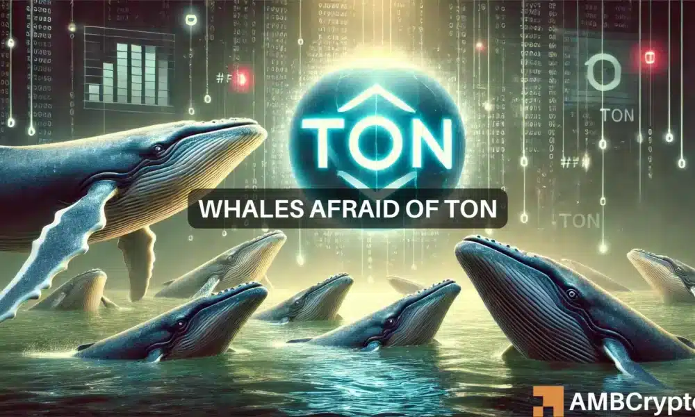 Toncoin gains 6.62% after Pavel Durov’s statement, but THIS raises fresh concerns