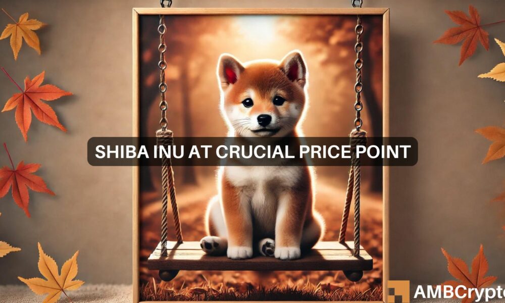 Exploring Shiba Inu’s 300% surge potential as traders go long