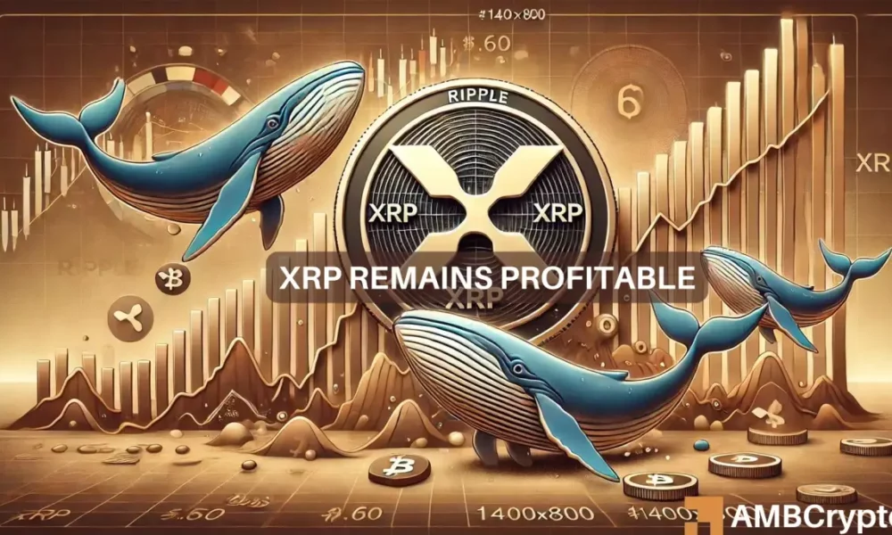 Ripple price stays below $0.60 as whales snap up $228M in XRP