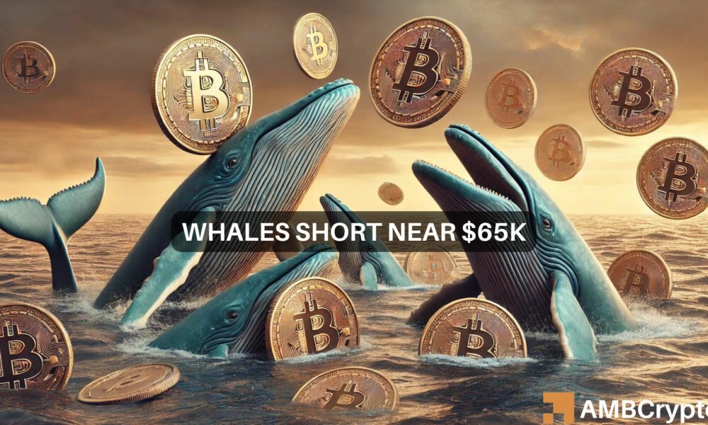 Whales resume shorting Bitcoin at $65K — Tracking BTC’s next move