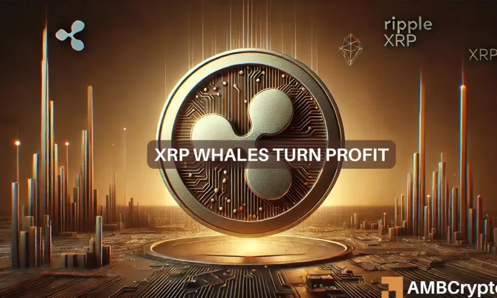 XRP surges past $0.60 – How whales helped the rise