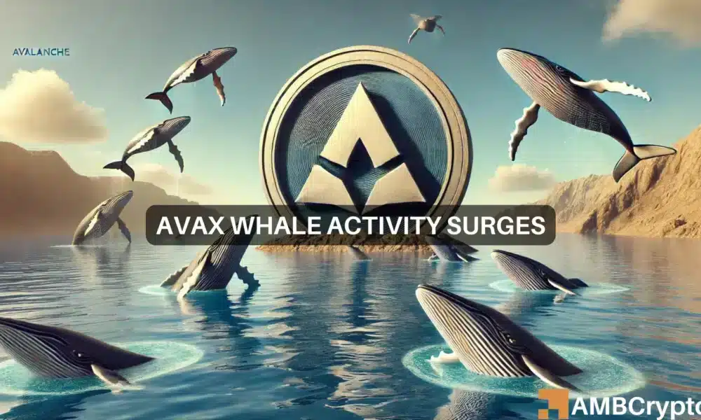 AVAX whale transactions jump 98%: Bull run incoming?