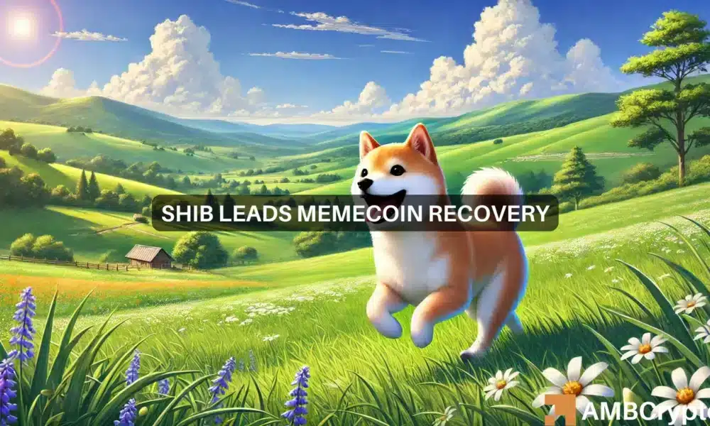 Will Shiba Inu lead memecoin recovery? Key data says…