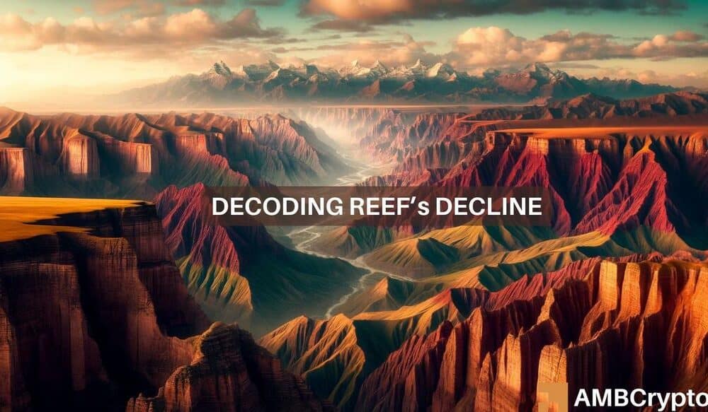 Examining REEF crypto’s 80% decline in 24 hours – How, why, and what next?