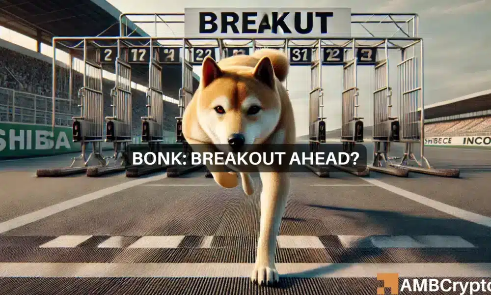 BONK’s massive breakout? Analyst predicts bullish wave ahead