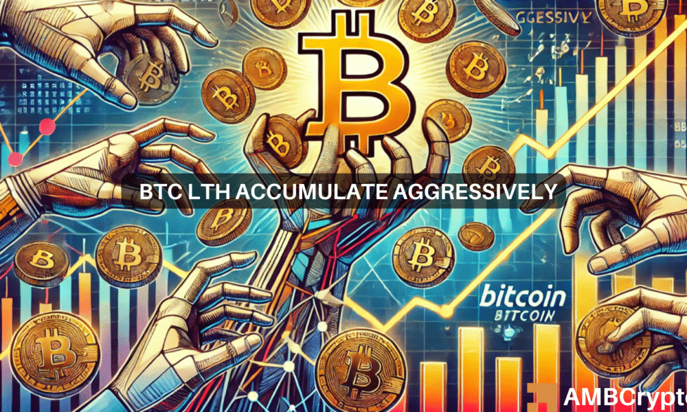 As Bitcoin approaches ATH, long-term holders pile up – Good news for BTC?