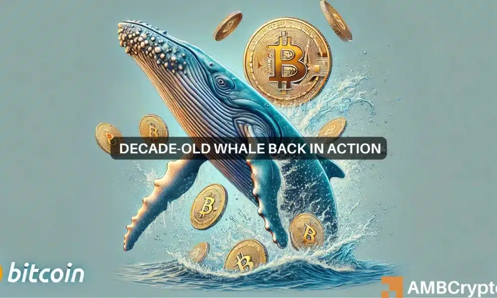 Bitcoin at risk of a dip? Decade-old whale reemerges as BTC hits $69K!