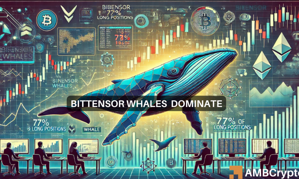 Bittensor whales dominate with 77% of long positions: Impact on TAO?