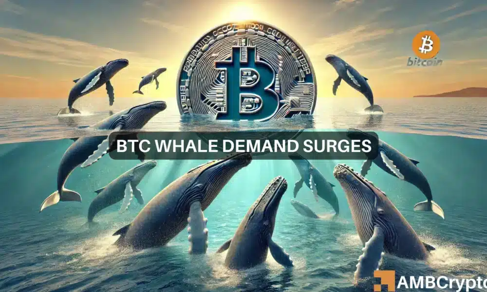 Analyzing Bitcoin’s surge: The impact of whales, institutional investments