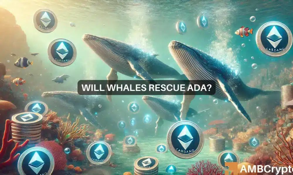 Cardano whale activity intensifies: Is ADA’s bullish breakout here?