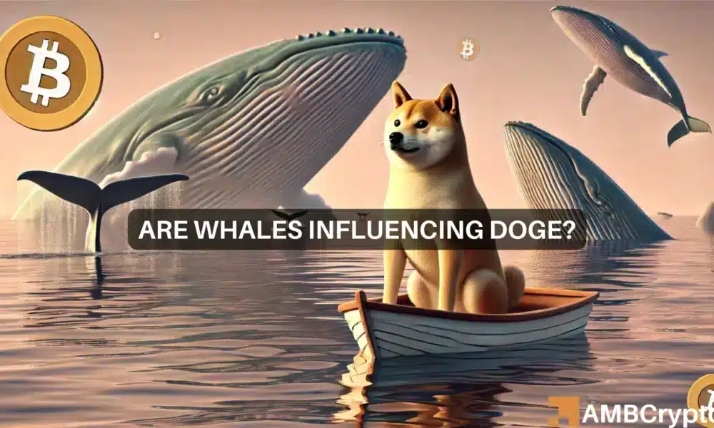 Dogecoin whales buy up 1 billion DOGE: Is it enough to fuel a rally?