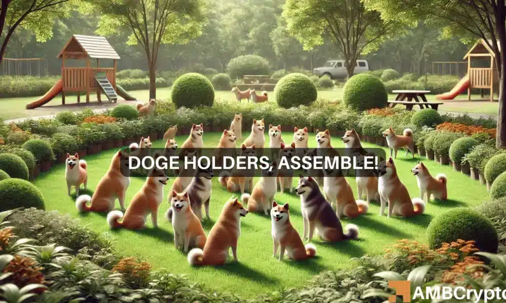 Dogecoin holders pile on 2.07B tokens: Sign of DOGE’s rally?