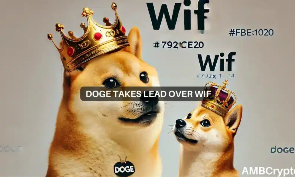 Dogecoin vs. WIF – How the memecoin climbed by 16% to stake its claim