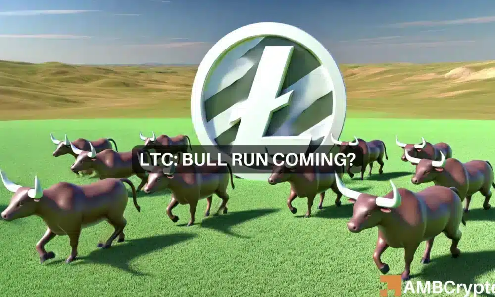 Litecoin whales are on the move – What do they know?