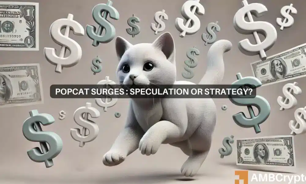 POPCAT bounces back as traders shy away from overheated DOGE: What now?