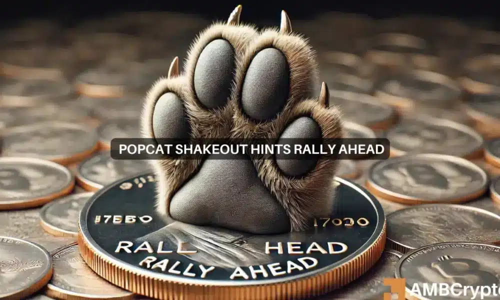 POPCAT falls by 10% as liquidity suffers – New ATH still within reach?