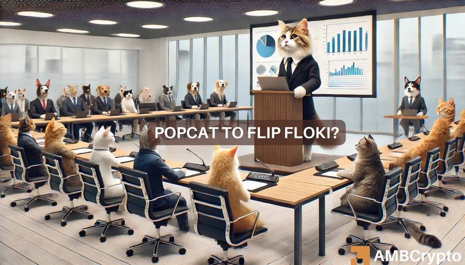 ‘Popcat gonna take Floki out’ – Battle of the memecoins