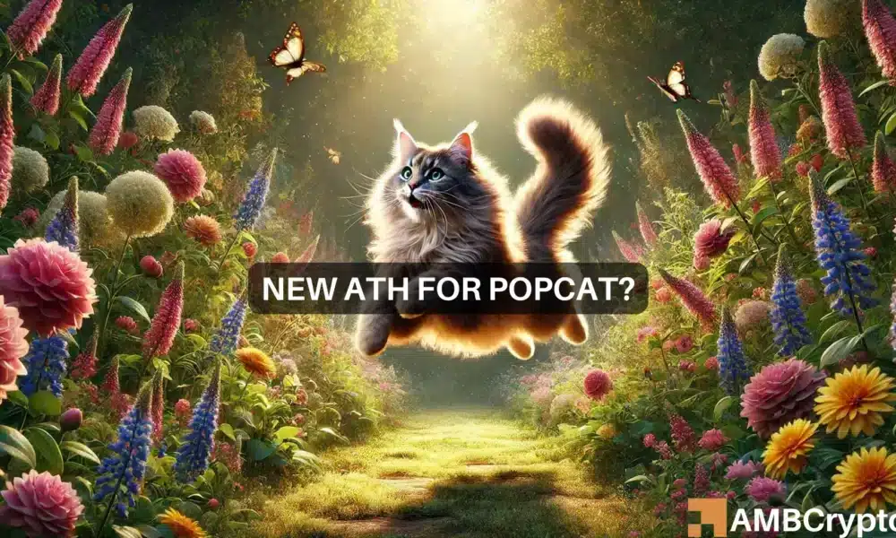 Popcat surges by 20% in 24 hours, hits a new ATH – What now?