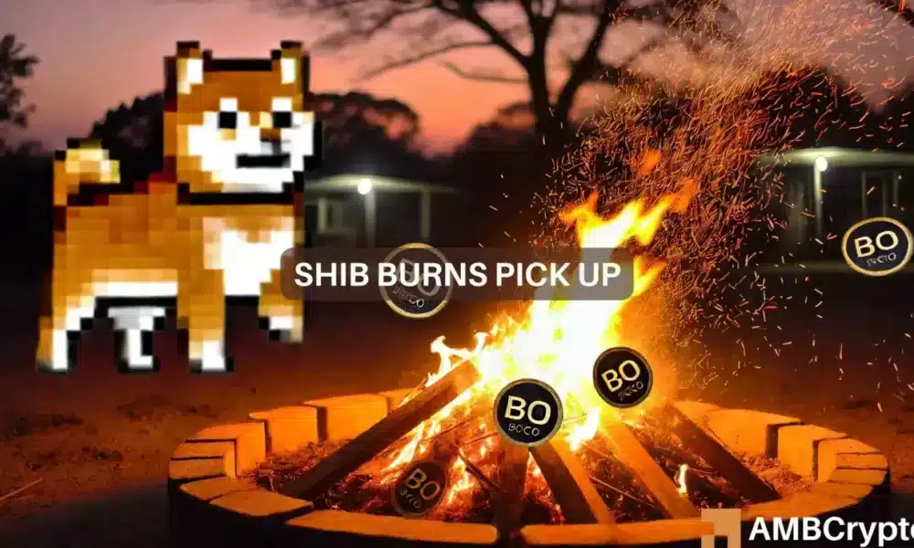 SHIB burns +300M tokens: What does it mean for Shiba Inu investors?