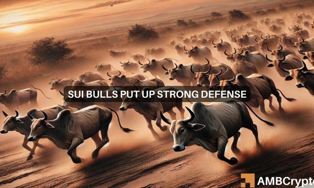 SUI stands out amid crypto pullbacks: Can bulls sustain the rally?