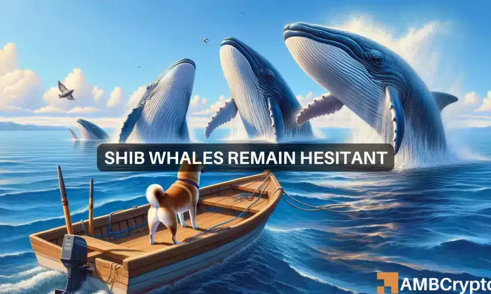 Shiba Inu: Why whales will determine SHIB’s next rally