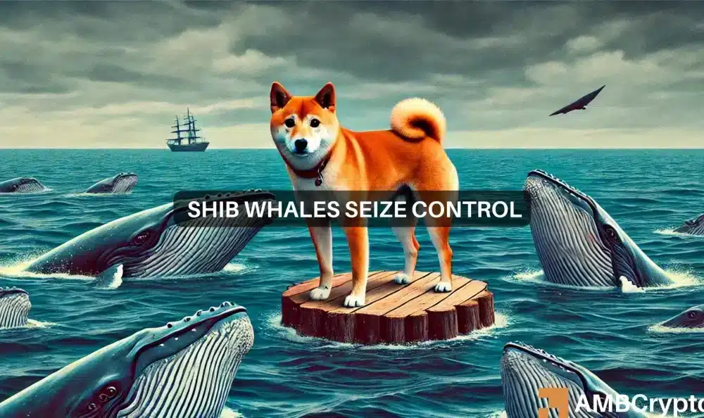 Shiba Inu whales show caution: Could this be SHIB’s market bottom?