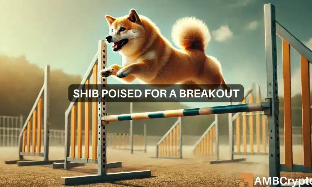 Shiba Inu aims for 40% rally as BTC nears ATH: On-chain data suggests…