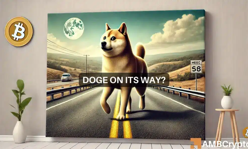 Short-term traders fuel Dogecoin’s hype – Here’s what may be next!