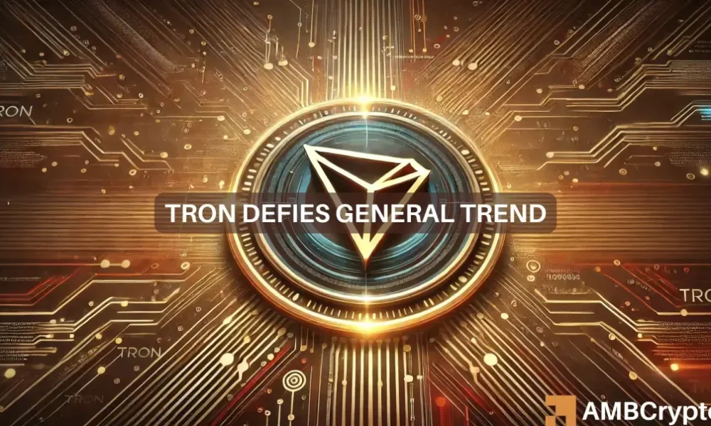 TRON’s large transactions hit 2-month high – More gains for TRX?