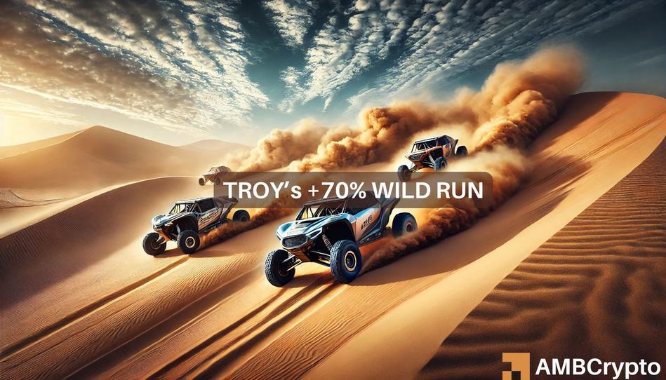 TROY crypto